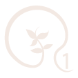 icono Quintouno